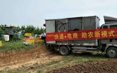 在“双十一”购物节期间，订单量急剧上升，新浜镇的助企行动有效地缓解了护航物流的压力，使其快速扩张
